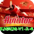 1ee Bonus Premium v1.2.4
