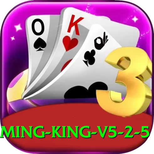 rr3 Gaming King v5.2.5 - 2