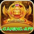 W9Bet Royal Gaming App